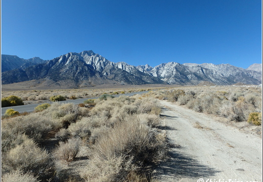 Joshua Tree - Sequioa - Muir - Redwood - Mojave 019