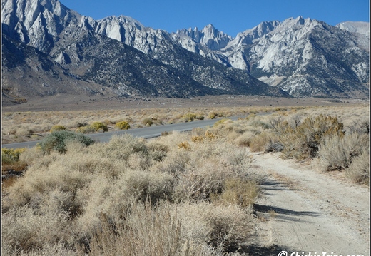 Joshua Tree - Sequioa - Muir - Redwood - Mojave 020