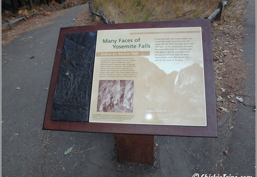 Joshua Tree - Sequioa - Muir - Redwood - Mojave 026