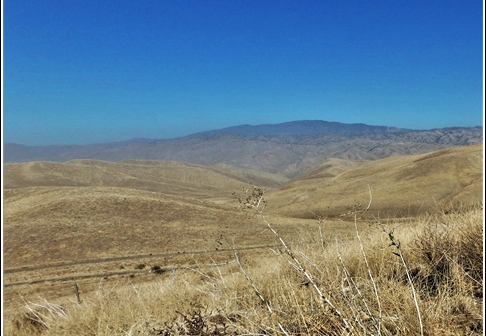 Joshua Tree - Sequioa - Muir - Redwood - Mojave 030