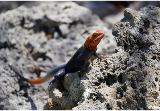 Florida - Biscayne National Park 0001