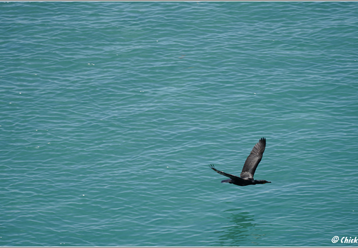 Florida - Biscayne National Park 0014