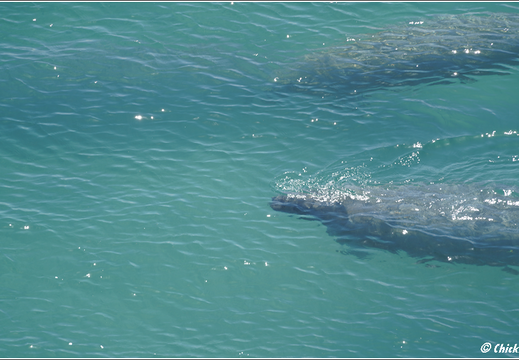 Florida - Biscayne National Park 0015