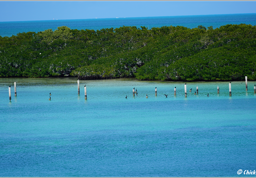 Florida - Biscayne National Park 0016