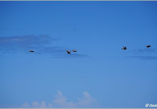 Florida - Biscayne National Park 0017