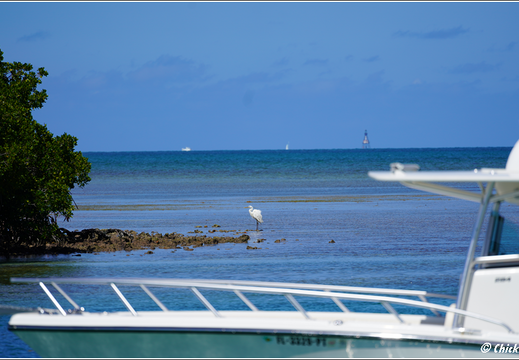 Florida - Biscayne National Park 0019