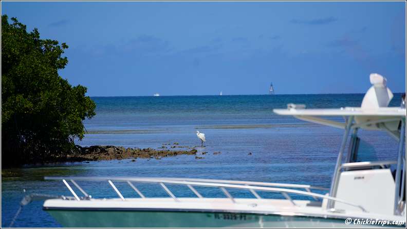 Florida_-_Biscayne_National_Park_0019.png