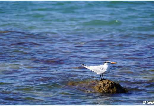 Florida - Biscayne National Park 0023