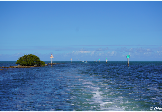 Florida - Biscayne National Park 0026
