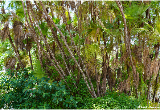 Florida - Biscayne National Park 0040