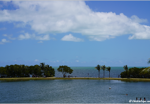 Florida - Biscayne National Park 0051