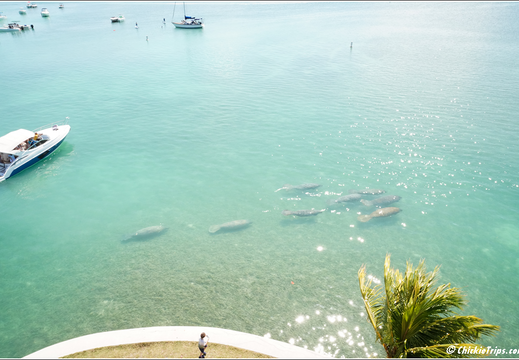 Florida - Biscayne National Park 0076