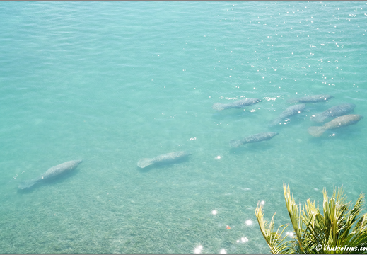 Florida - Biscayne National Park 0078