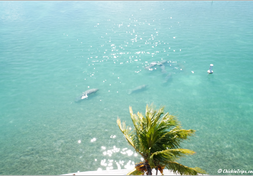 Florida - Biscayne National Park 0080