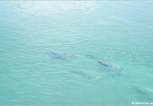 Florida - Biscayne National Park 0088