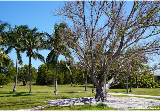 Florida - Biscayne National Park 0092