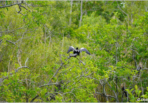 Florida - Everglades National Park 0023