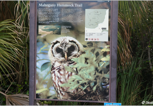 Florida - Everglades National Park 0066