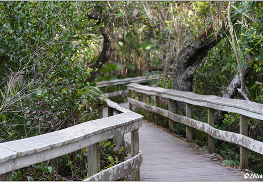 Florida - Everglades National Park 0073