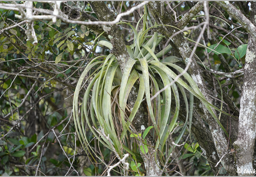 Florida - Everglades National Park 0086