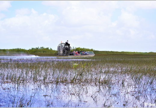 Florida - Everglades National Park 0091