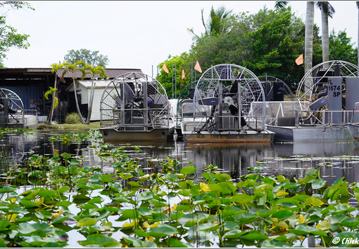 Florida - Everglades National Park 0096
