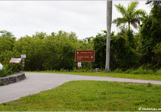 Florida - Everglades National Park 0161