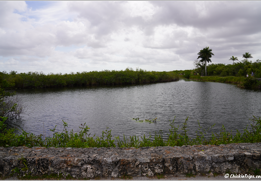 Florida - Everglades National Park 0162