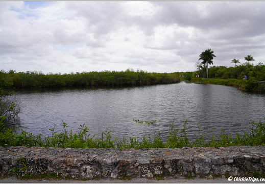 Florida - Everglades National Park 0163