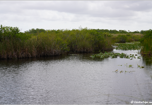 Florida - Everglades National Park 0166