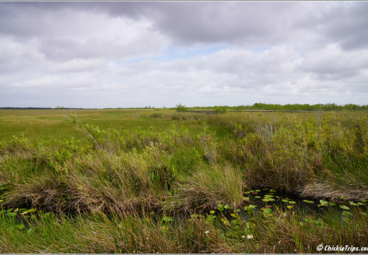 Florida - Everglades National Park 0182