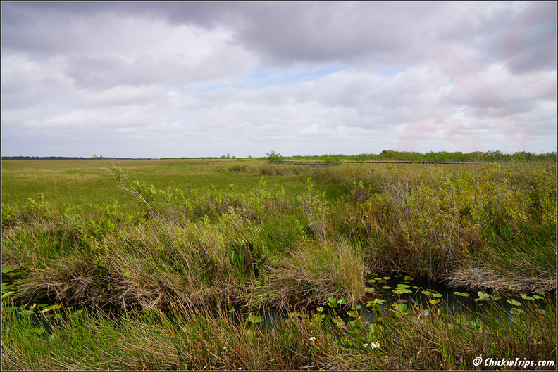 Florida_-_Everglades_National_Park_0182.png