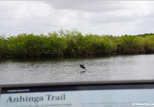 Florida - Everglades National Park 0228