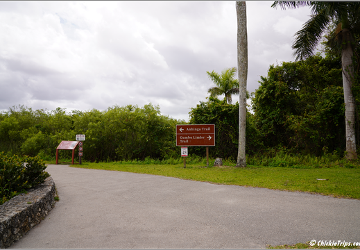 Florida - Everglades National Park 0231