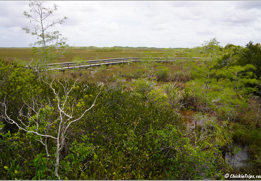 Florida - Everglades National Park 0240