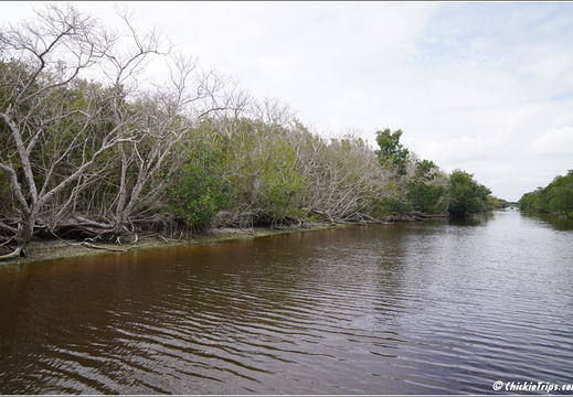 Florida - Everglades National Park 0253