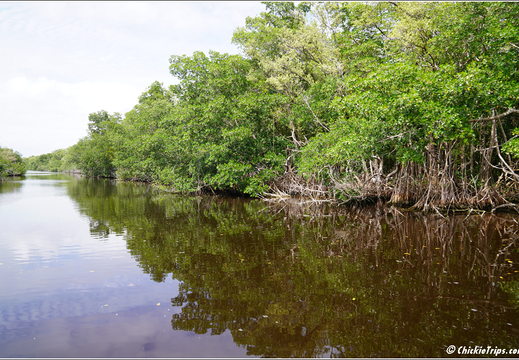 Florida - Everglades National Park 0262