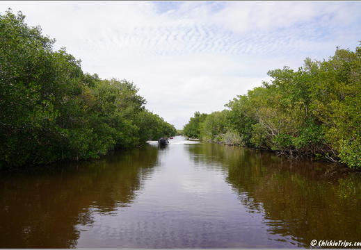 Florida - Everglades National Park 0263