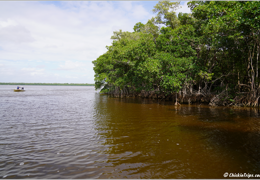 Florida - Everglades National Park 0270