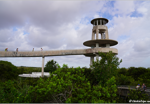 Florida - Everglades National Park 0299