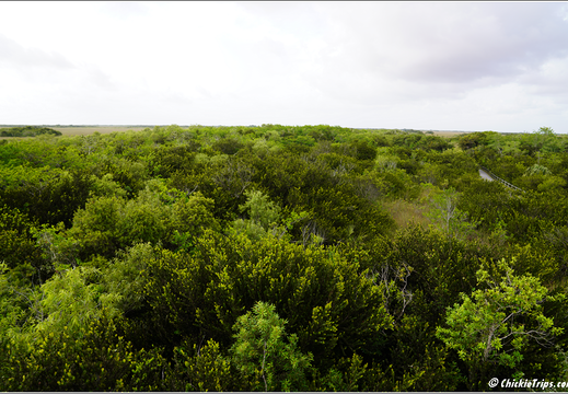 Florida - Everglades National Park 0300