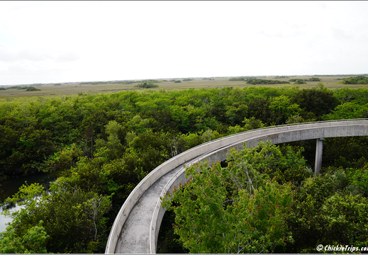 Florida - Everglades National Park 0302