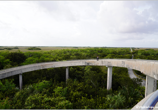 Florida - Everglades National Park 0303