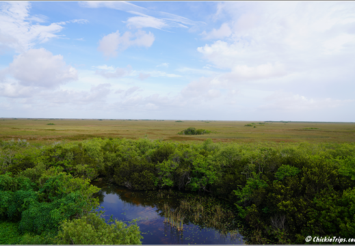 Florida - Everglades National Park 0305