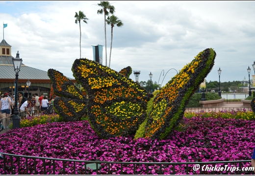 walt disney myrtle beach universal studio crown reef resort 046