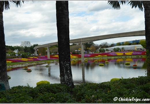 walt disney myrtle beach universal studio crown reef resort 047