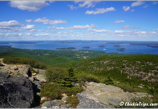 ME Acadia National Park - Maine 00033