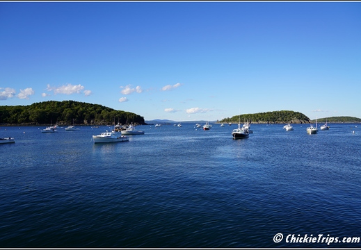 ME Acadia National Park - Maine 00034