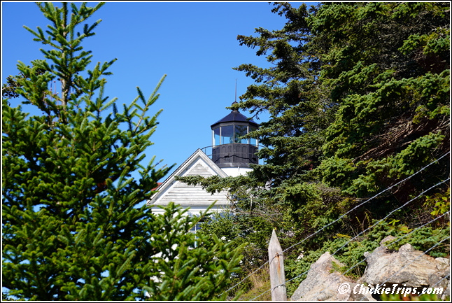 ME_Acadia_National_Park_-_Maine_00066.jpg