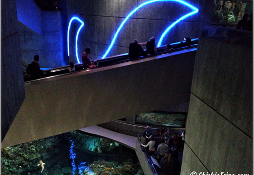 Marriot - Baltimore Inner Harbor - Aquarium 009